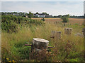 Bollards by Eastling Road