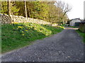 Bridleway, Rabbit Hill Wood