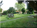 Odiham, All Saints: churchyard (5)