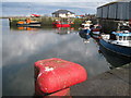 Tweed Dock