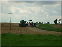 TA1643 : Harvesting near West Close Farm by Ian S