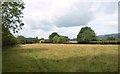 Field near Cheddar