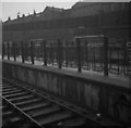 Woolwich Arsenal Station - 1959 - Cattle Pens