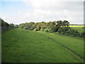 Green  Dale  toward  Whitethorn