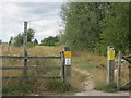 Footpath in Grassmoor Country Park