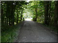 Bridge over the Afon Aeron