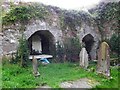 C2518 : Arched recesses, Killydonnell Friary by Kenneth  Allen
