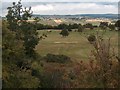 View across Hallamshire Golf Course from Lodge Moor