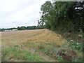 Corner of a field near Windmill Farm