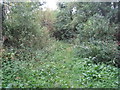 Footpath to Ulceby church