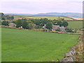 Looking over Load Brook