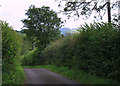 2011 : Winterwell Lane near Winterwell Farm