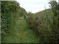 Footpath alongside the clay pit