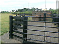 Pillbox near Arnold Lodge