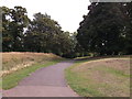 Path on Plumstead Common