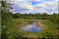 Suds pond at Calais Muir, Dunfermline.