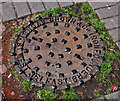J2868 : Browns manhole cover, Seymour Hill, Dunmurry by Albert Bridge