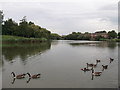 Gallions Park Lake (2)