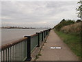 TQ4581 : Thames Path and Thames Cycle Route past Tripcock Ness by David Anstiss