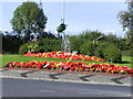 Traffic Island Landscaping