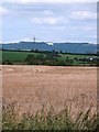 Across the fields at Birdforth