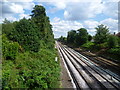 View from Murray Avenue bridge