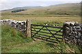 SD7078 : Gateway opposite entrance to Yordas Cave, Kingsdale by Roger Templeman