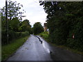 Swan Road & Swan Road Postbox