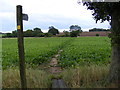 Footpath to Stanway Green Farm