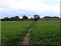 Footpath to Stanway Green Farm