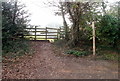 Path from canal tunnel near Cwmbran