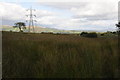 Rough grazing near Bont Newydd