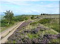 The path from Yorkgate Quarry to Surprise View, Otley