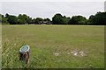 TQ4369 : Chislehurst Cricket Ground by Ian Capper