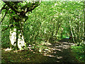 Bridleway along the Kent boundary