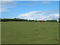 Farmland off the B6060