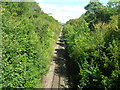 Railway towards Doncaster