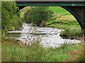 The Avon Water at Brown