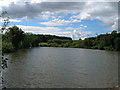 Fishing lake near Sandbeck Lodge