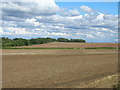 Farmland off Sandbeck Lane