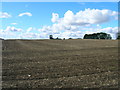 Farmland off Braithwell Road