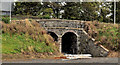 The Burnhouse bridge, Lisburn (1)