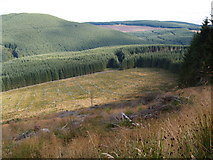 NT2712 : Harvested area in forestry at Greyhound Law by Clive Nicholson