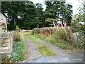 Footpath running north from Bilham Road