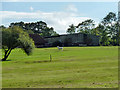 White horse on New House Farm