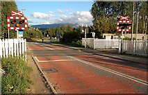 NH9013 : Crossing The Strathspey Railway Line by Mary and Angus Hogg