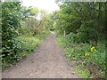 Blundell Avenue, Formby