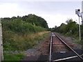 TM4186 : Along the railway line towards Brampton by Geographer