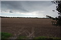 TR0126 : Harvested field near Rheewall Farm by Julian P Guffogg