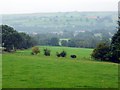 Wolsingham from fields below Baal Hill House